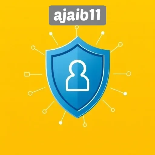 Meneliti Keamanan dan Privasi di Ajaib11